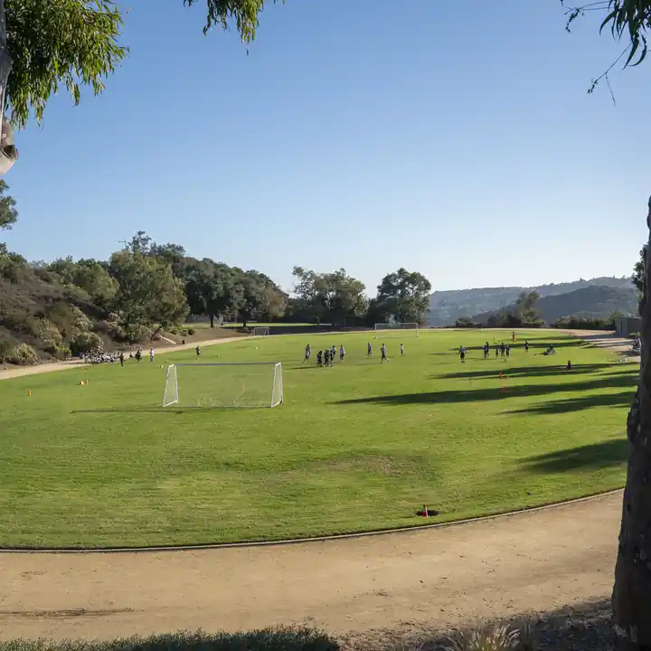 Student athletes practice across Berkeley Hall's green hillside field.